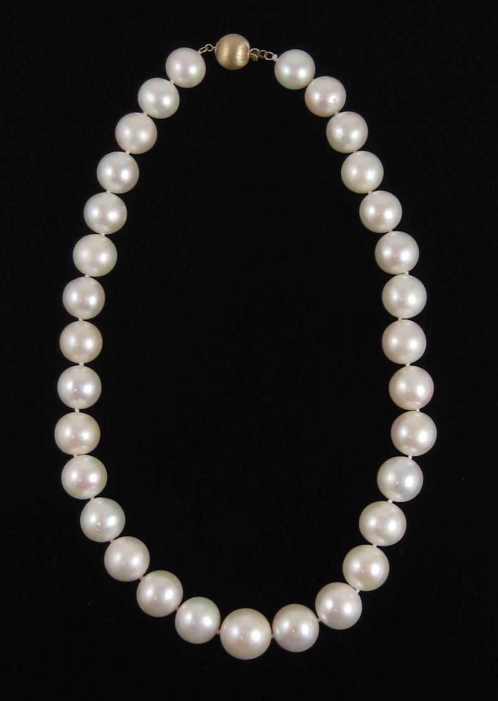 SOUTH SEA PEARL AND FOURTEEN