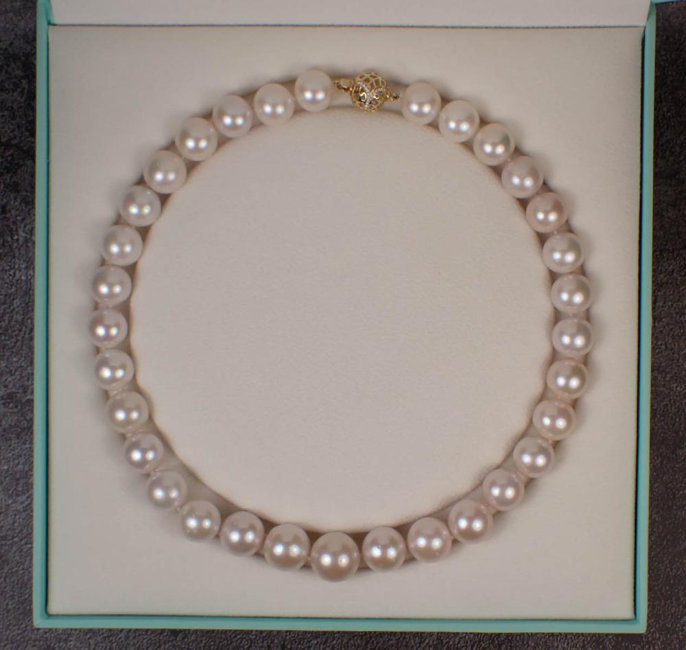 SOUTH SEA PEARL AND FOURTEEN