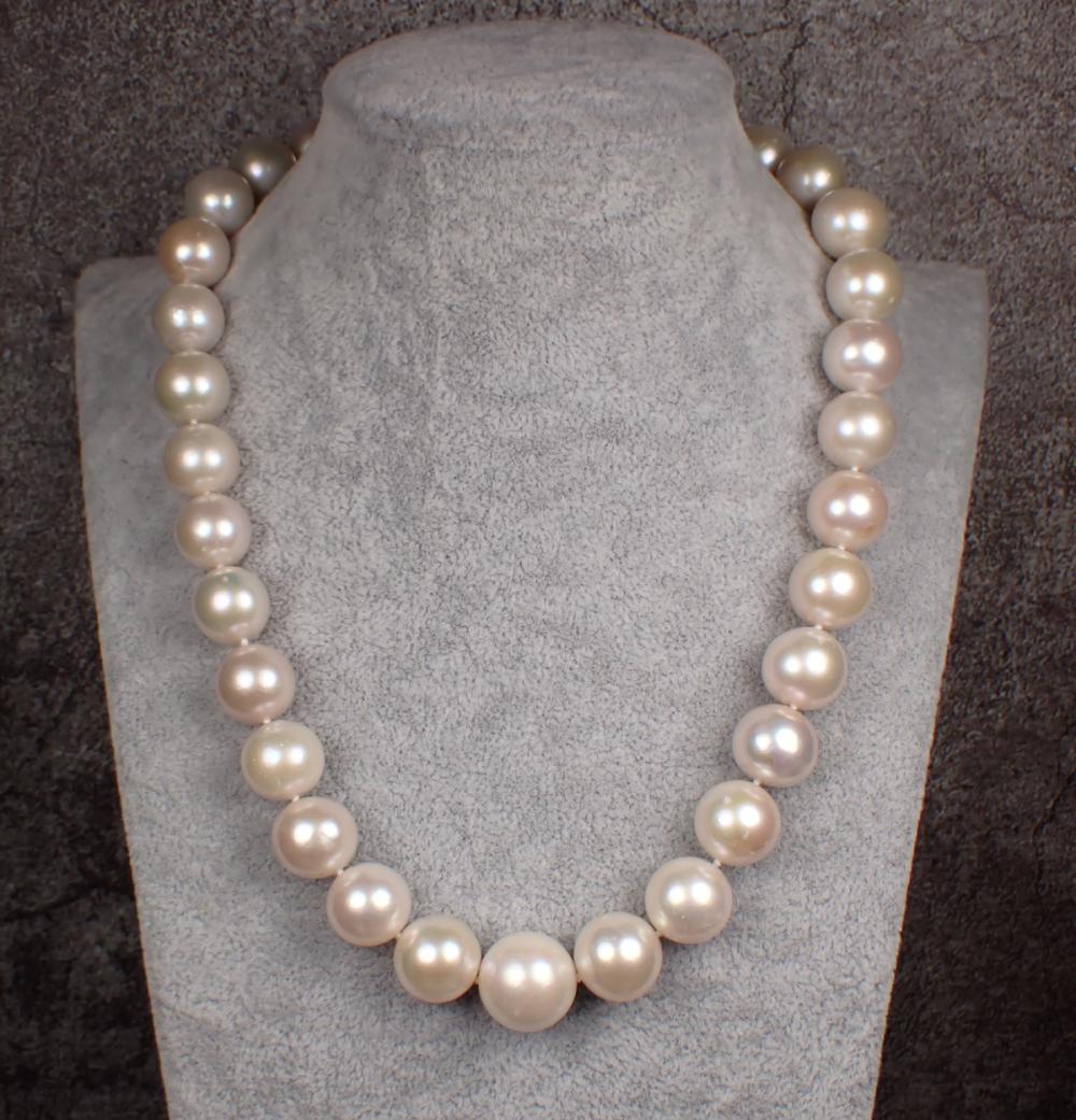 SOUTH SEA PEARL AND FOURTEEN