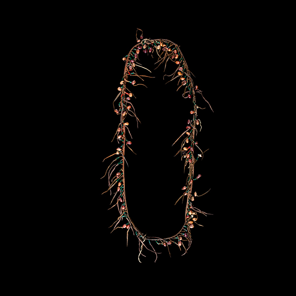 Southern Plains Grass Dance