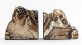 SPECIMEN BOOKENDS IN PETRIFIED