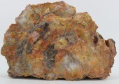 SPECIMEN. LARGE PETRIFIED RED