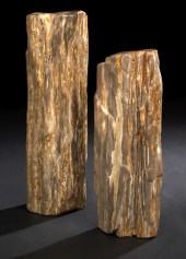 Specimen Petrified Wood Log,