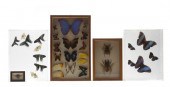* SPECIMENS A group of five fr