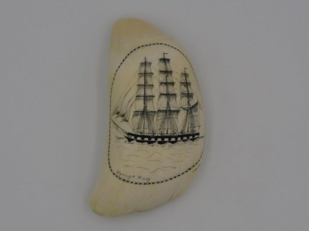 SPERM WHALE SCRIMSHAW WHALE'S TOOTH