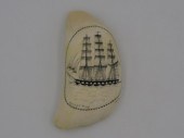 SPERM WHALE SCRIMSHAW WHALE'S