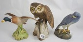 Spode Birds Little Owl Montagu
