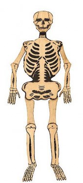 [SPOOK SHOW] LUMINOUS SKELETON