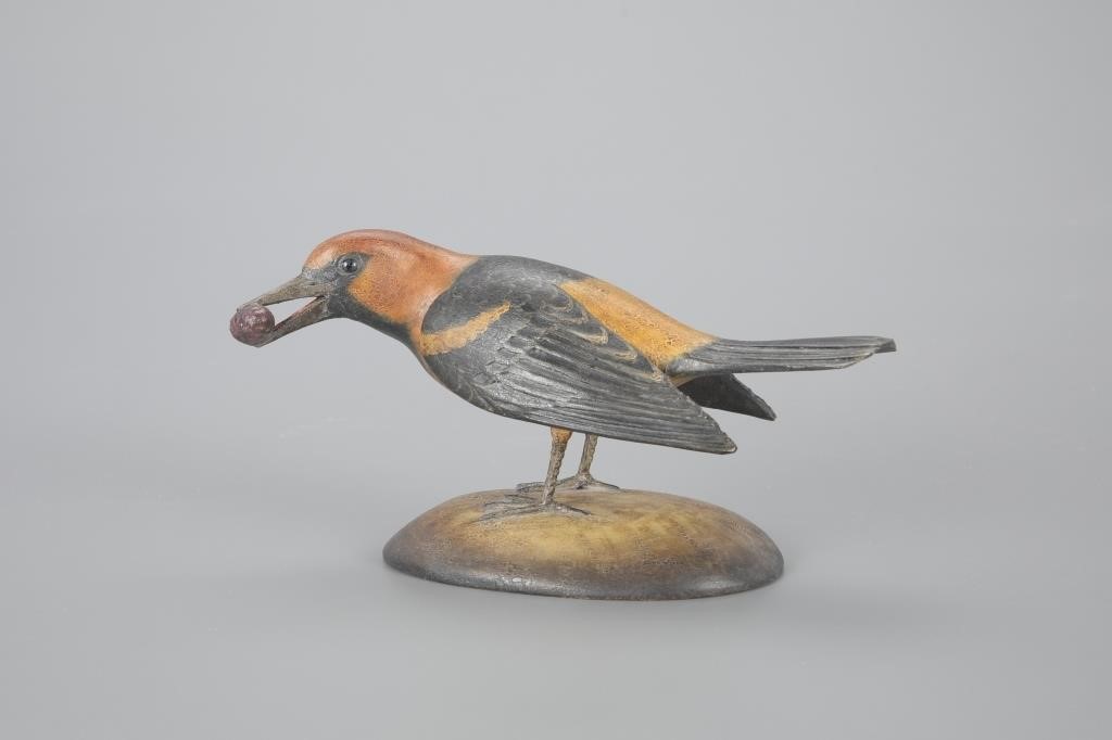 SPOT-BREASTED ORIOLEFrank S. Finney