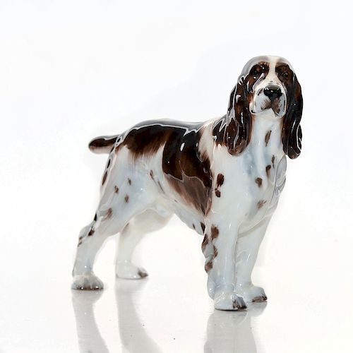 SPRINGER SPANIEL HN2517 - ROYAL