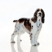 SPRINGER SPANIEL HN2517 - ROYA