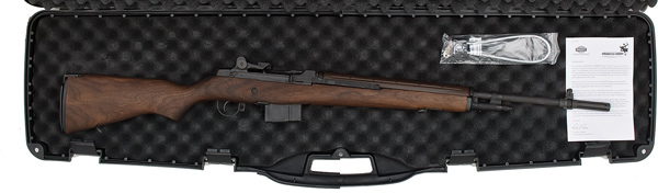 *Springfield Armory National