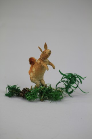 SQUIRREL ON FEATHER TREE BRANCH