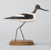 ST-TROPEZ AVOCETAn Avocet shor