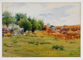 STACY TOLMAN RHODE ISLAND PAST