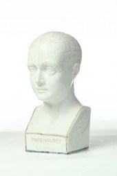 STAFFORDSHIRE PHRENOLOGY HEAD.