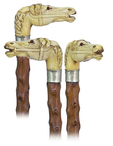 STAG HORN HORSE HEAD CANECa.