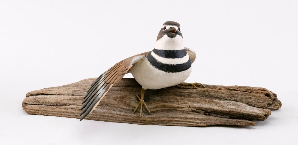 STAN SPARRE MINIATURE KILLDEER EAST
