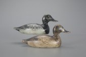 STANDARD-GRADE BLUEBILL PAIREv