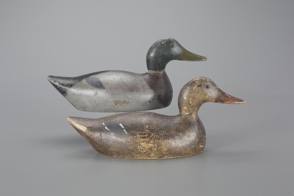 STANDARD-GRADE MALLARD PAIREvans