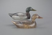 STANDARD-GRADE MALLARD PAIREva