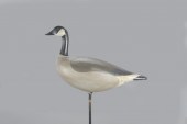 STANDING CANADA GOOSEJerry Mas