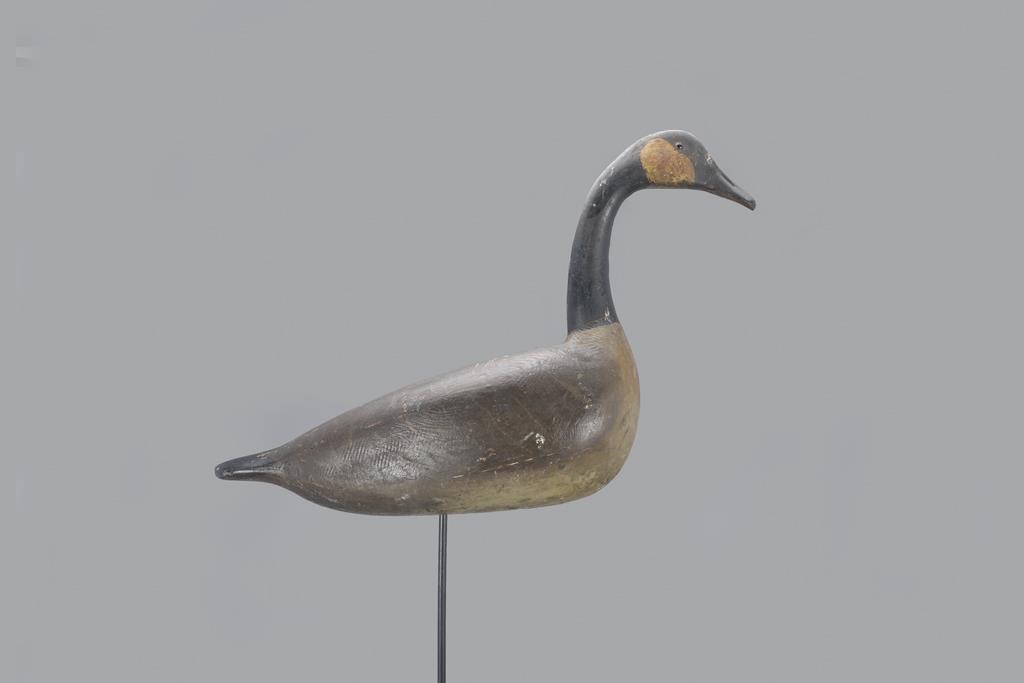 STANDING GOOSEMichael Vallero