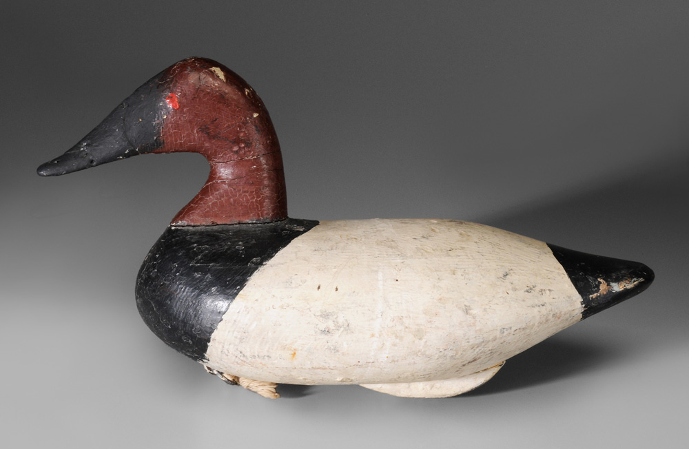 Stanley Evans Canvasback Drake