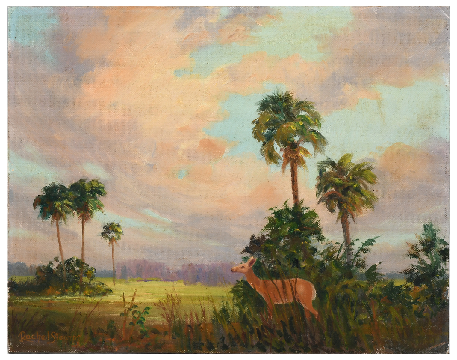STEARNS, Rachel, (American,