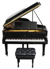 'STEINWAY GRAND MODEL B' ART D