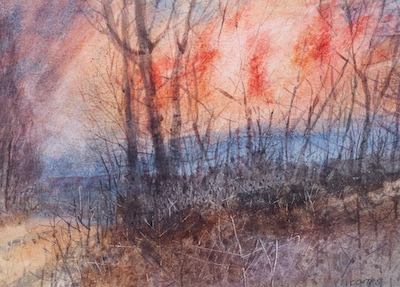 Stephen Coates (American