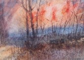 Stephen Coates (American Conte