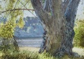 Stephen Coates (American Conte