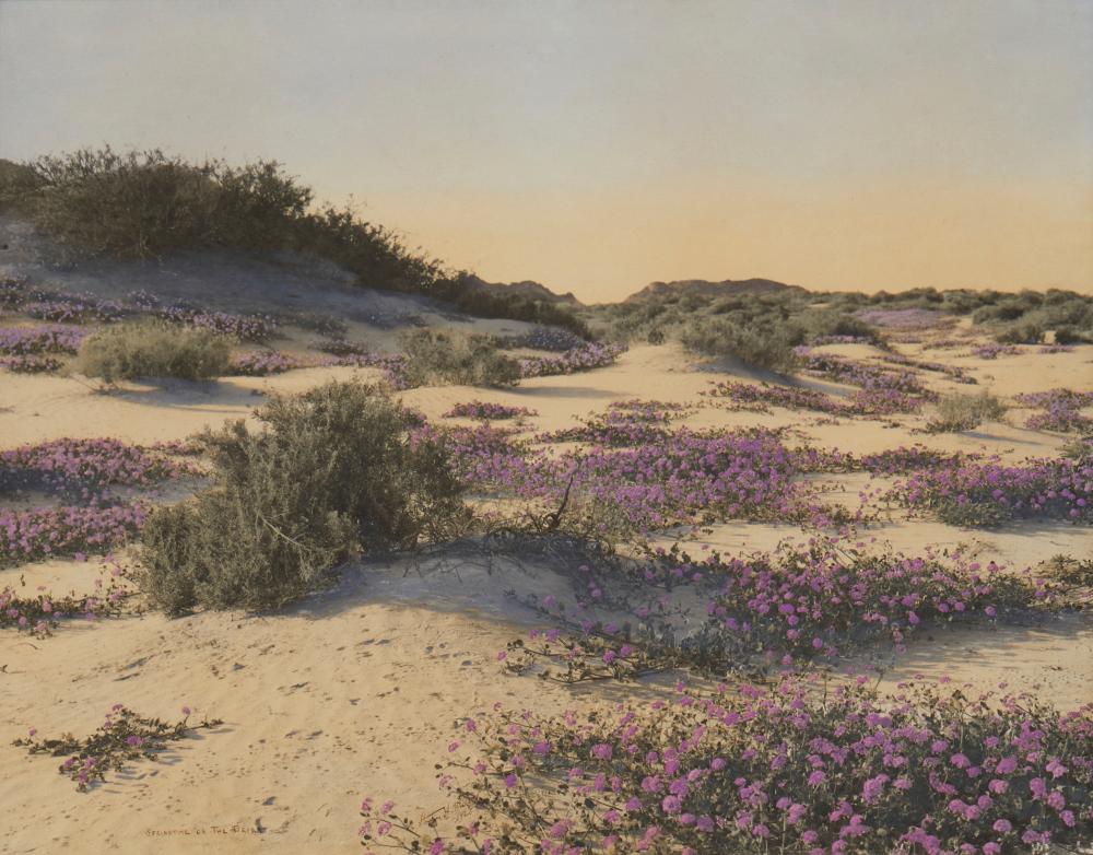 STEPHEN H.WILLARD (1894-1966),