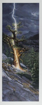 STEPHEN LYMAN (IDAHO/CALIFORNI