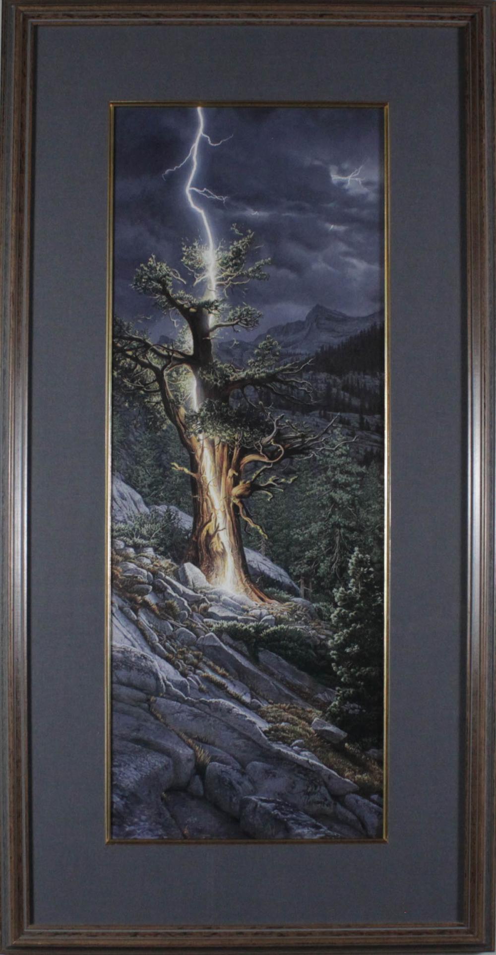 STEPHEN LYMAN OFFSET
