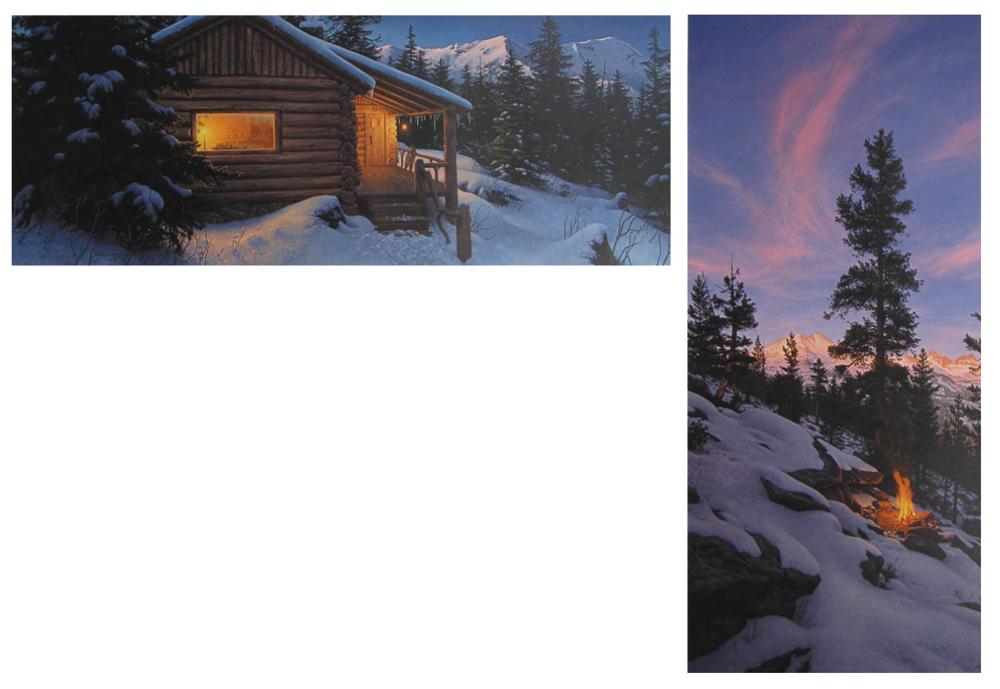 STEPHEN LYMAN (UNITED STATES,