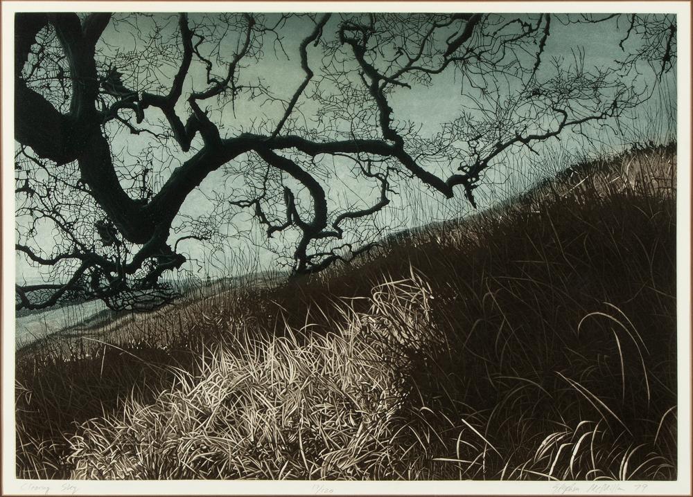 STEPHEN MCMILLAN, CLEARING SKY,