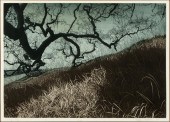 STEPHEN MCMILLAN, CLEARING SKY