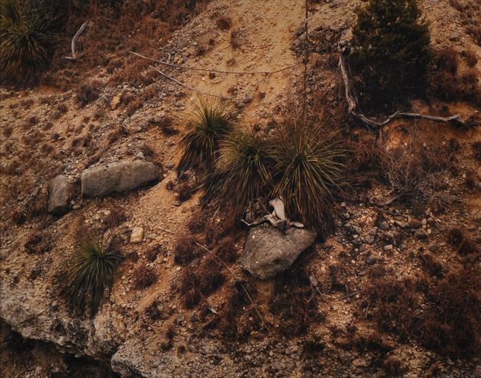 STEPHEN SHORE (b. 1947): BREWSTER