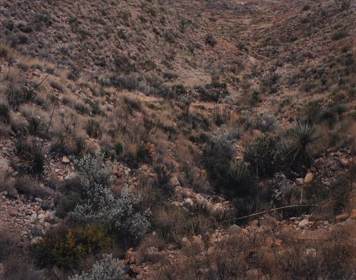 STEPHEN SHORE (b. 1947): BREWSTER