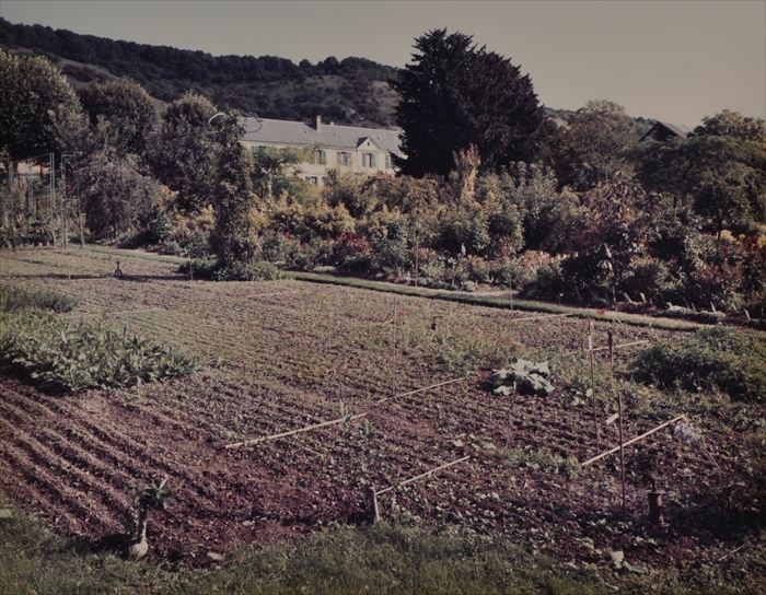 STEPHEN SHORE (b. 1947): GIVERNY