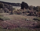 STEPHEN SHORE (b. 1947): GIVER
