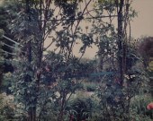 STEPHEN SHORE (b. 1947): GIVER