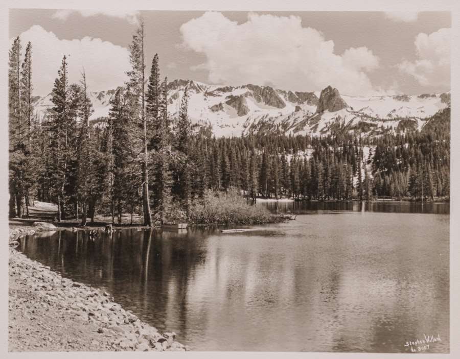 STEPHEN WILLARD (1894-1965) PHOTO