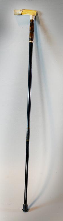 Sterling Ivory And Horn Mounted