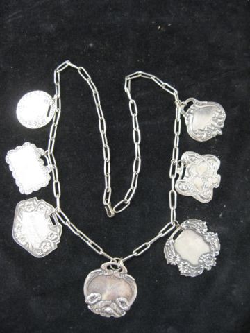 Sterling Silver Necklace with 7
