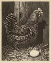 STEVAN DOHANOS, READY TO HATCH