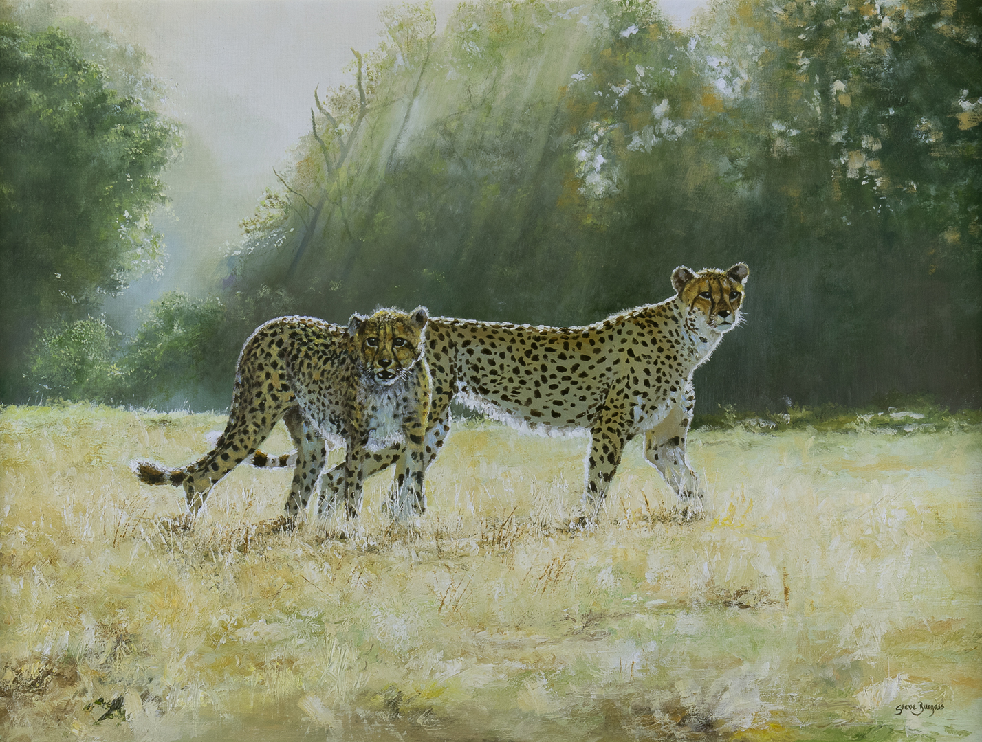 STEVE BURGESS (1960- ), CHEETAHS ON