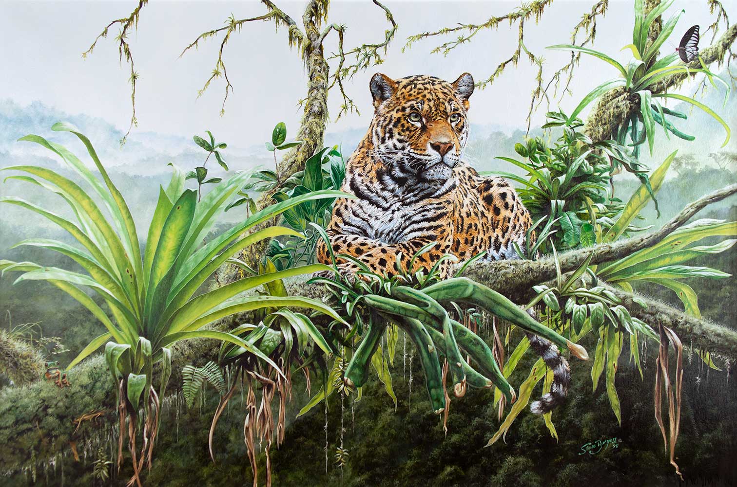 STEVE BURGESS (1960- ), EL TIGRE,